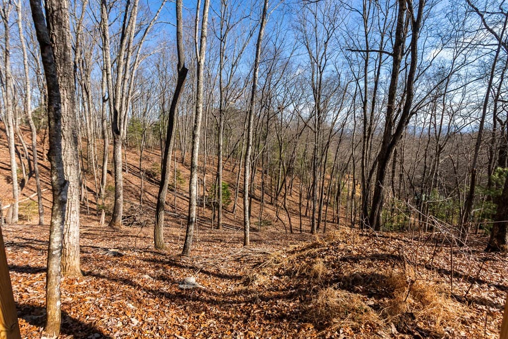 87 Tuscarora Trail, Murphy NC 28906 - Photo