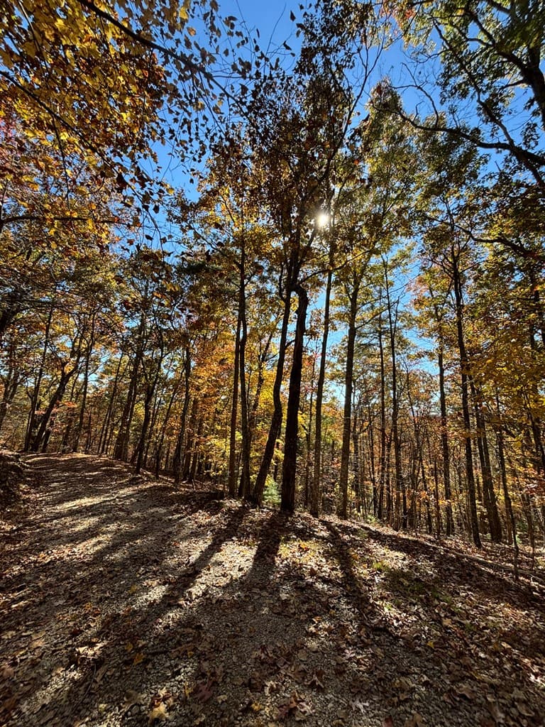 416 Autumn Hills Drive, Blairsville GA 30560 - Photo