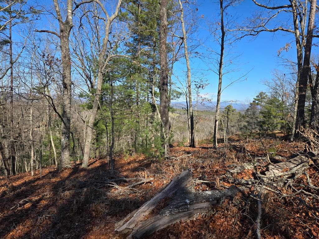 416 Autumn Hills Drive, Blairsville GA 30560 - Photo