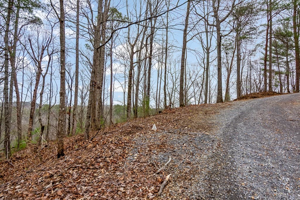lot 1694 Shade Tree Drive, Talking Rock GA 30175 - Photo