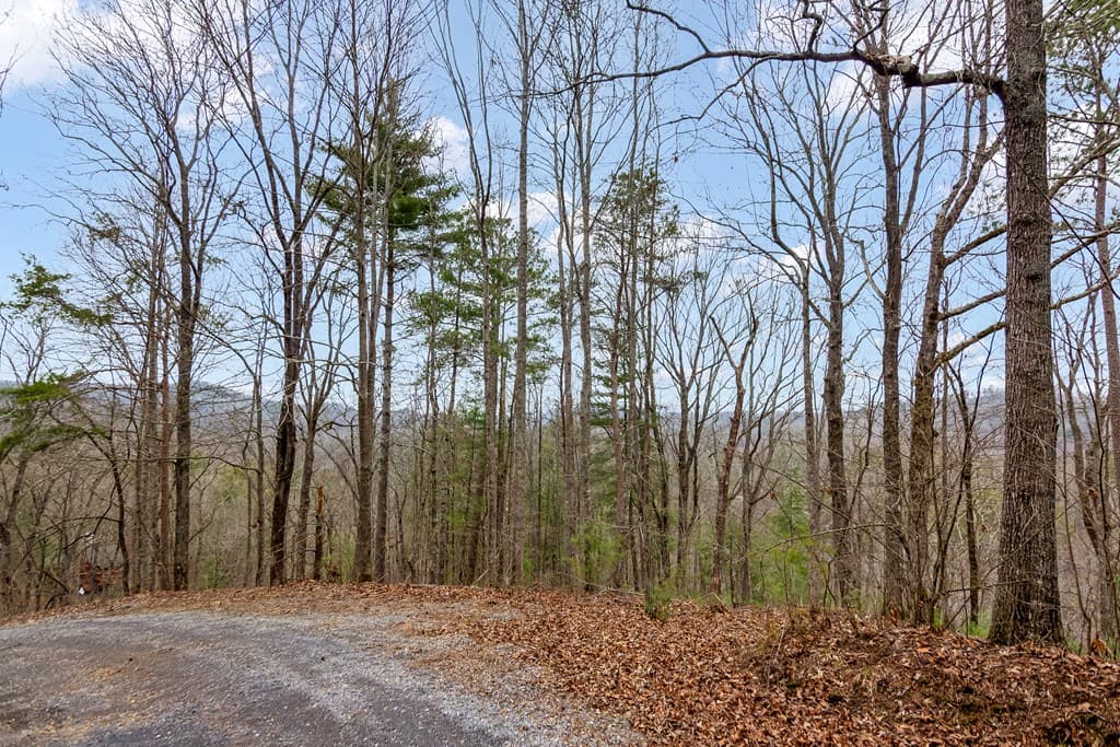 lot 1694 Shade Tree Drive, Talking Rock GA 30175 - Photo