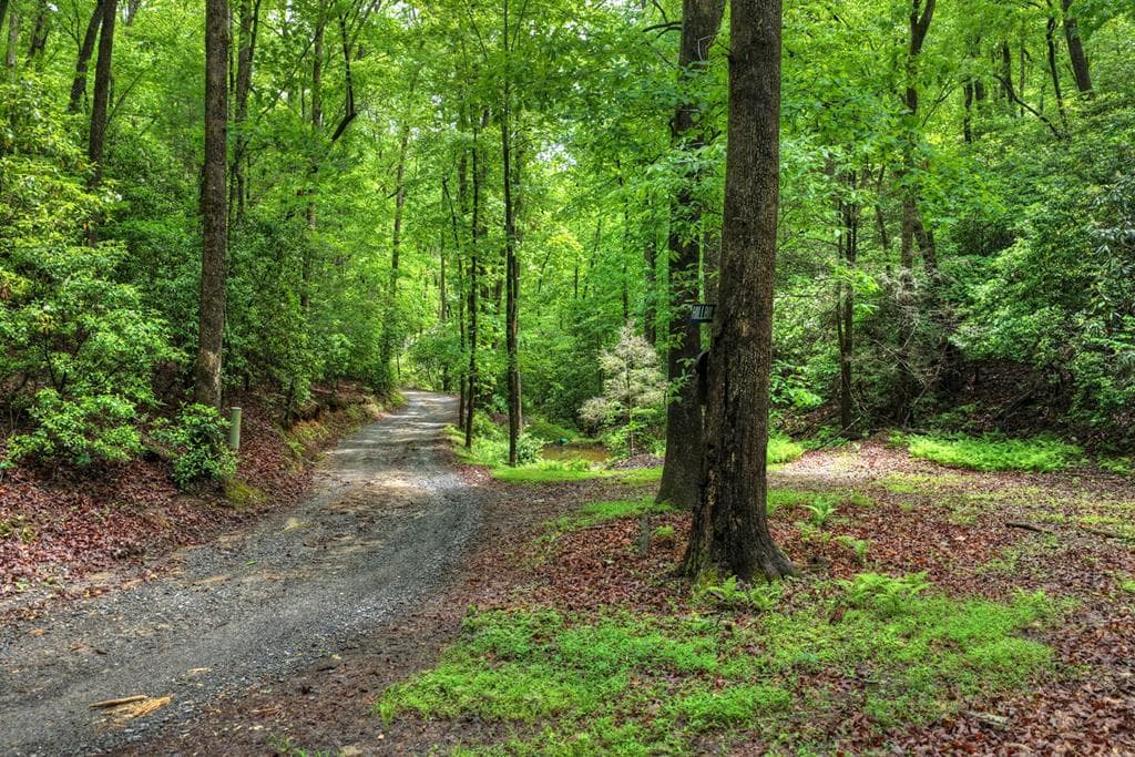 636 Bear Paw Trail, Blue Ridge GA 30513 - Photo