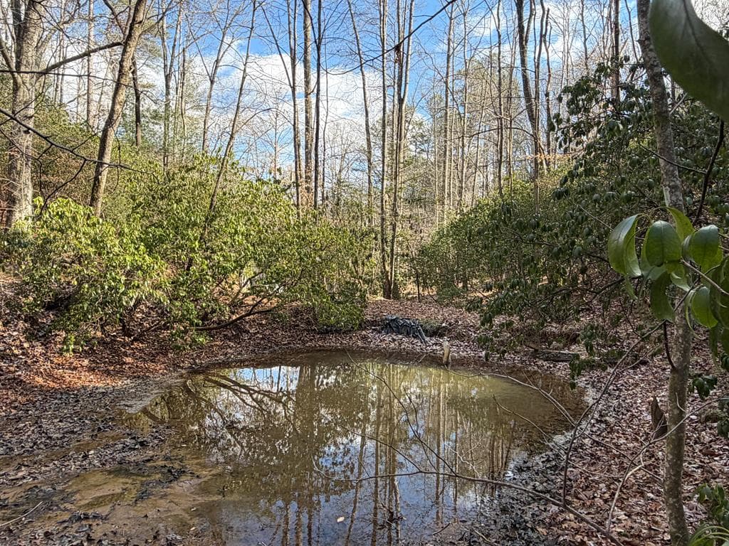 636 Bear Paw Trail, Blue Ridge GA 30513 - Photo