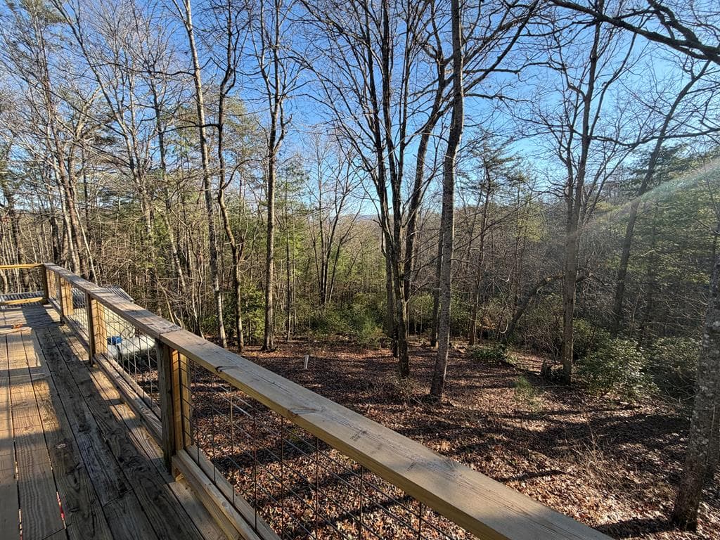 636 Bear Paw Trail, Blue Ridge GA 30513 - Photo