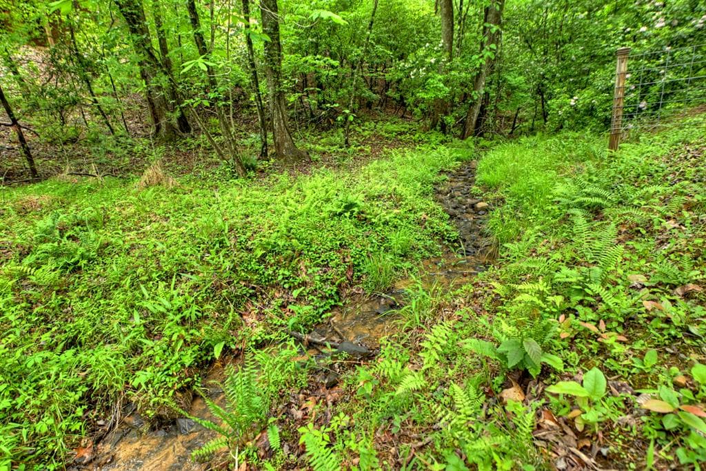 636 Bear Paw Trail, Blue Ridge GA 30513 - Photo
