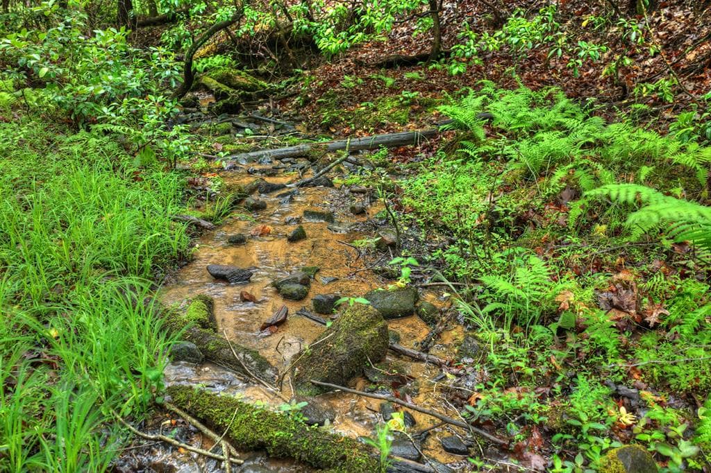 636 Bear Paw Trail, Blue Ridge GA 30513 - Photo