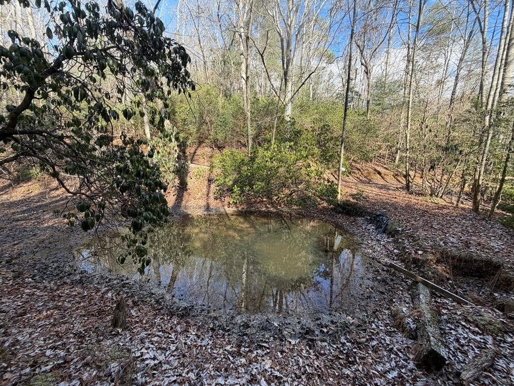 636 Bear Paw Trail, Blue Ridge GA 30513 - Photo