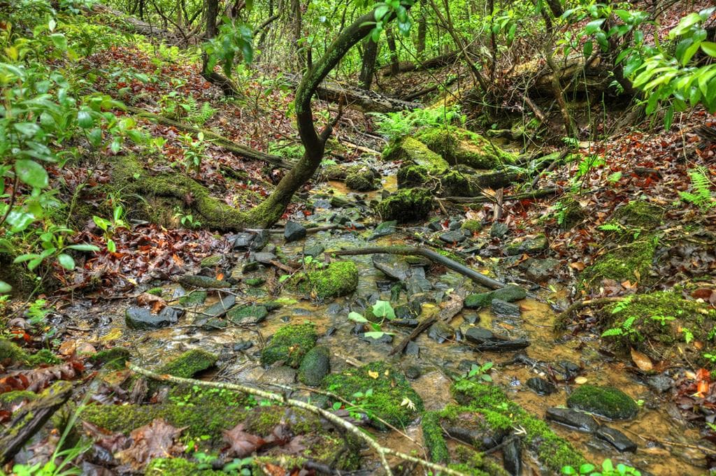 636 Bear Paw Trail, Blue Ridge GA 30513 - Photo