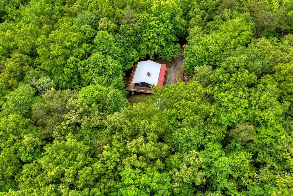 636 Bear Paw Trail, Blue Ridge GA 30513 - Photo