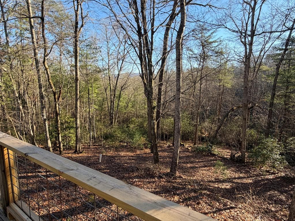 636 Bear Paw Trail, Blue Ridge GA 30513 - Photo