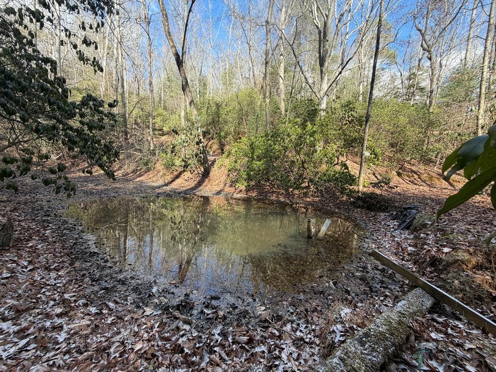 636 Bear Paw Trail, Blue Ridge GA 30513 - Photo