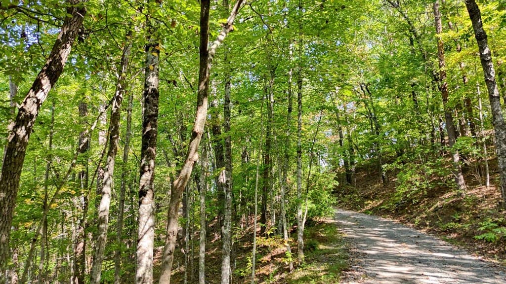 .76 Acre Charlotte Circle, Blue Ridge GA 30560 - Photo