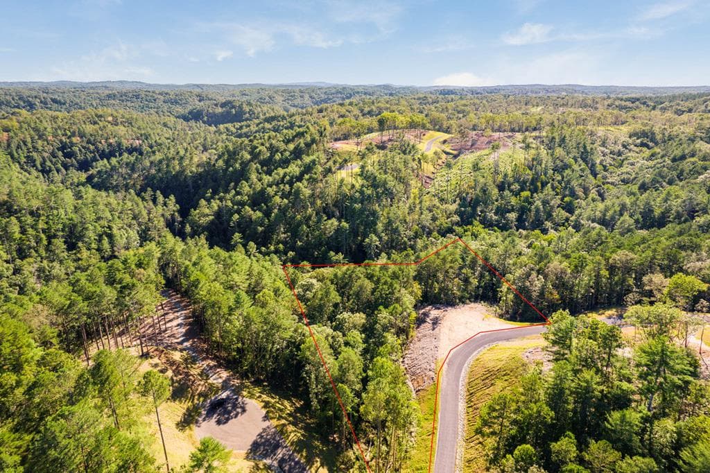 LOT 183 Canoe Point, Ellijay GA 30540 - Photo