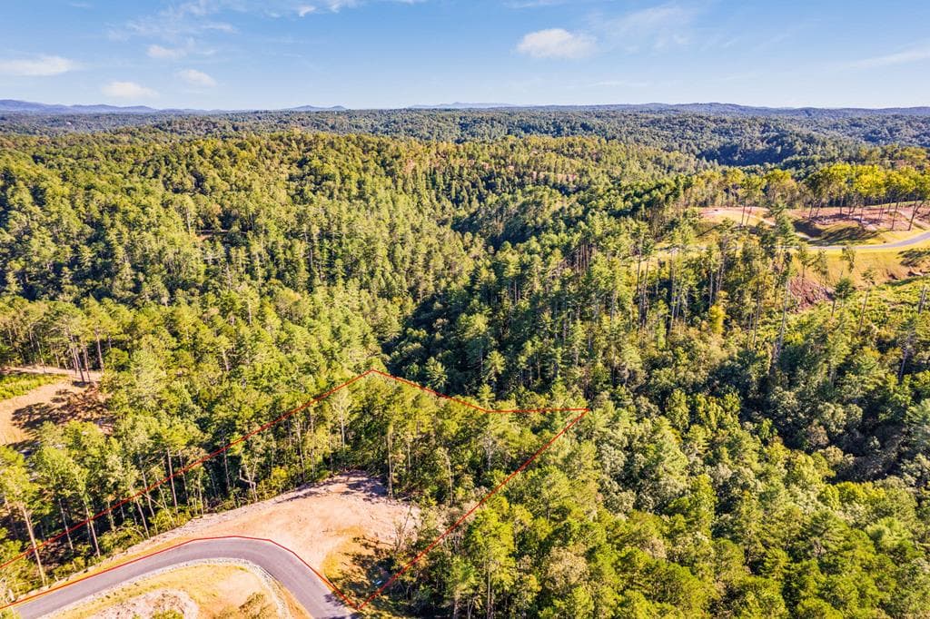 LOT 183 Canoe Point, Ellijay GA 30540 - Photo