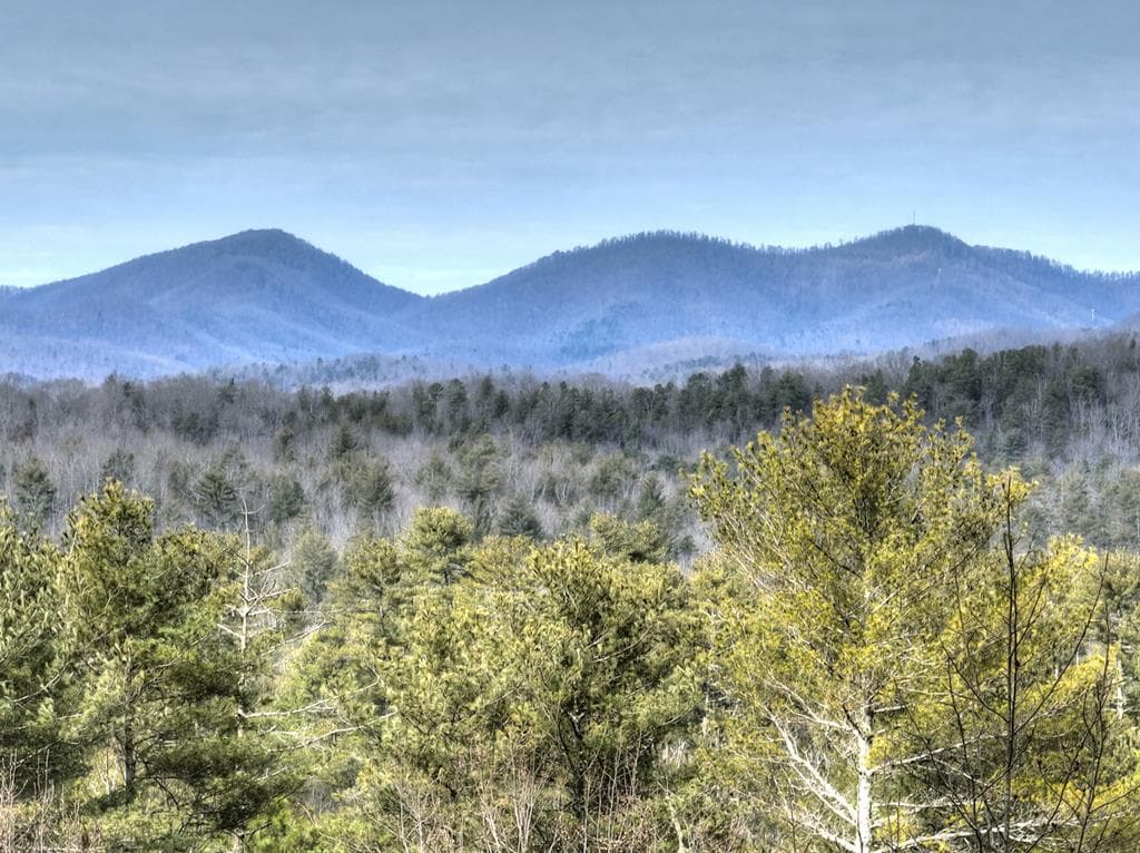 71 Rising Fawn Drive, Mineral Bluff GA 30559 - Photo