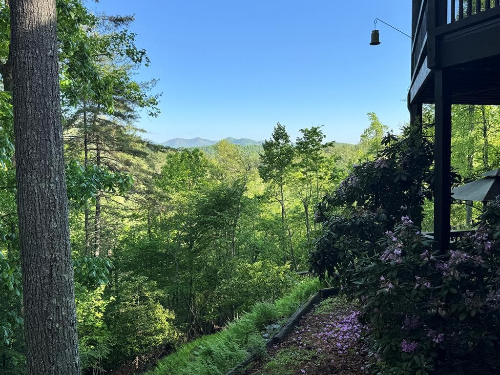 71 Rising Fawn Drive, Mineral Bluff GA 30559 - Photo