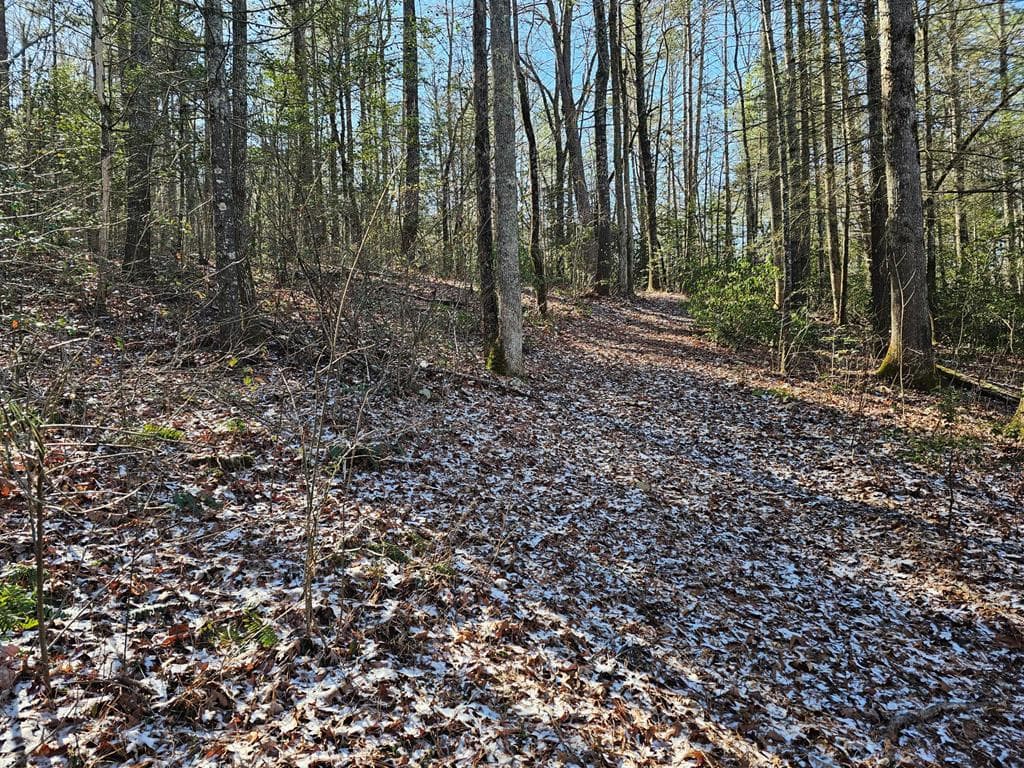 0 Beaver Dam Road, Murphy NC 28906 - Photo
