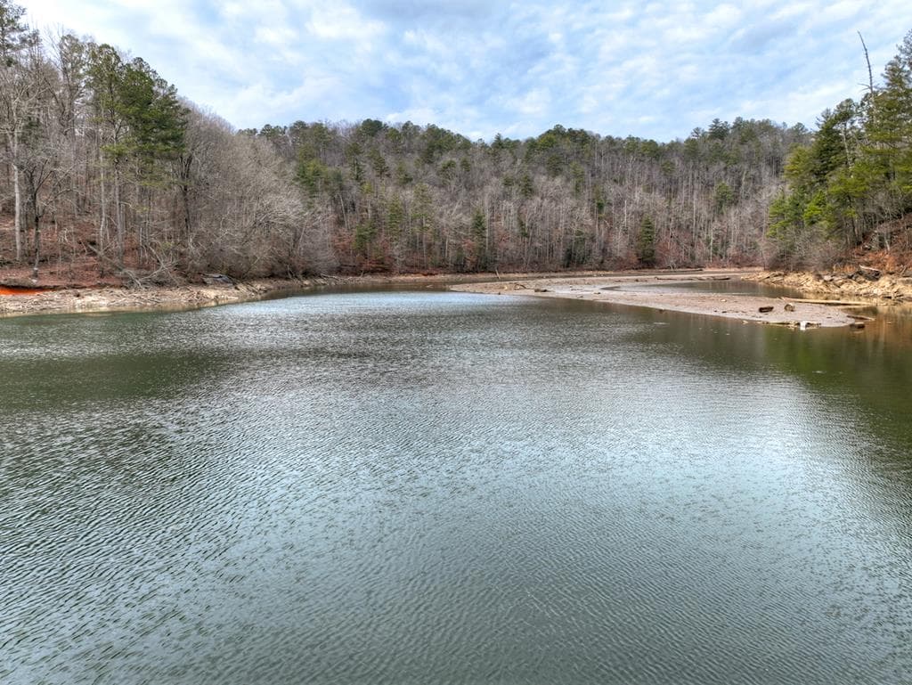 3693 Myna Drive, Ellijay GA 30540 - Photo