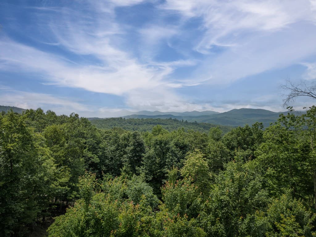 310 Wunder Bear Ridge Road, Morganton GA 30560 - Photo