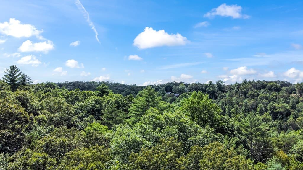 Lot 17 Misty Mountain Trail, Ellijay GA 30536 - Photo