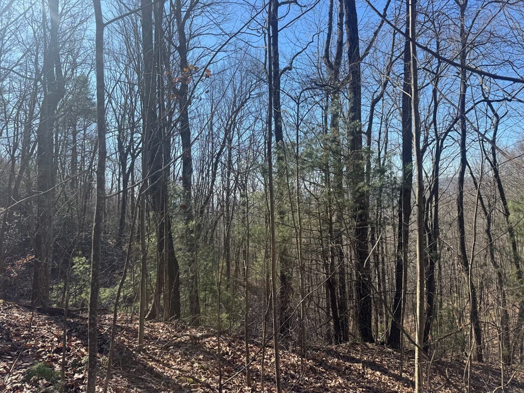 17 Oak Ridge Estates, Murphy NC 28906 - Photo