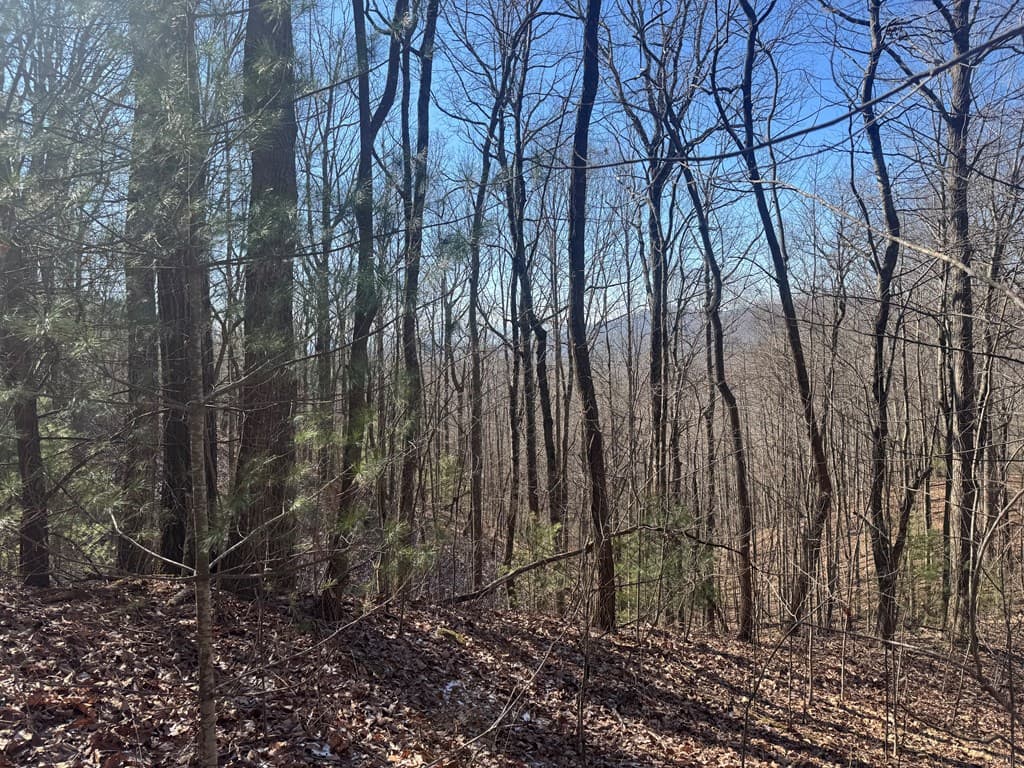 17 Oak Ridge Estates, Murphy NC 28906 - Photo