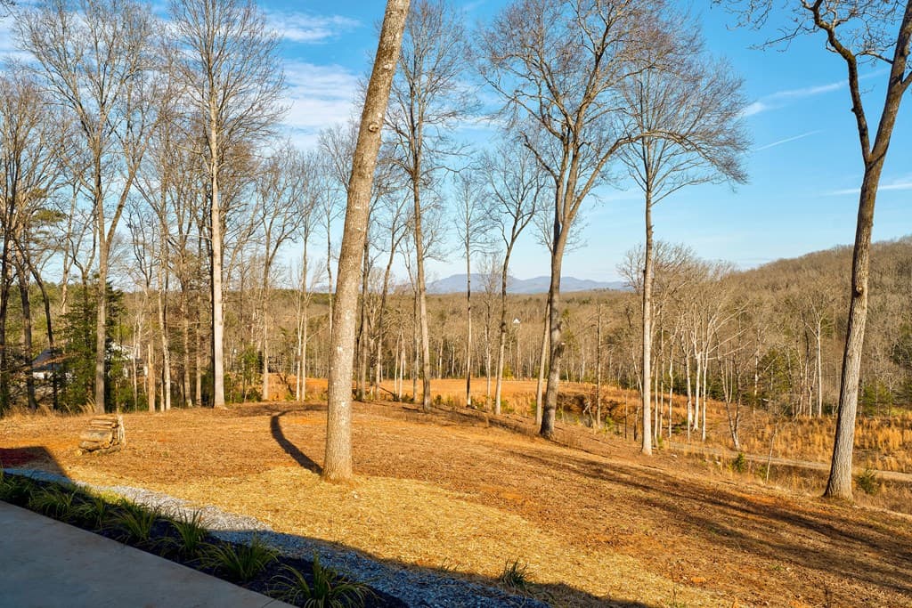 187 Briar Woods Lane, Blue Ridge GA 30513 - Photo