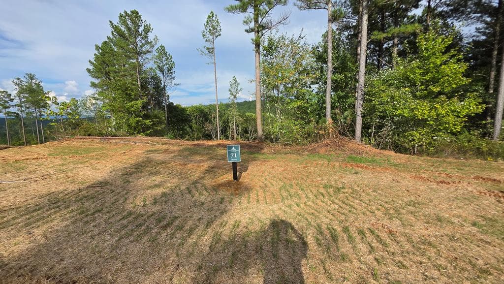 71 Elkton Court, Ellijay GA 30540 - Photo