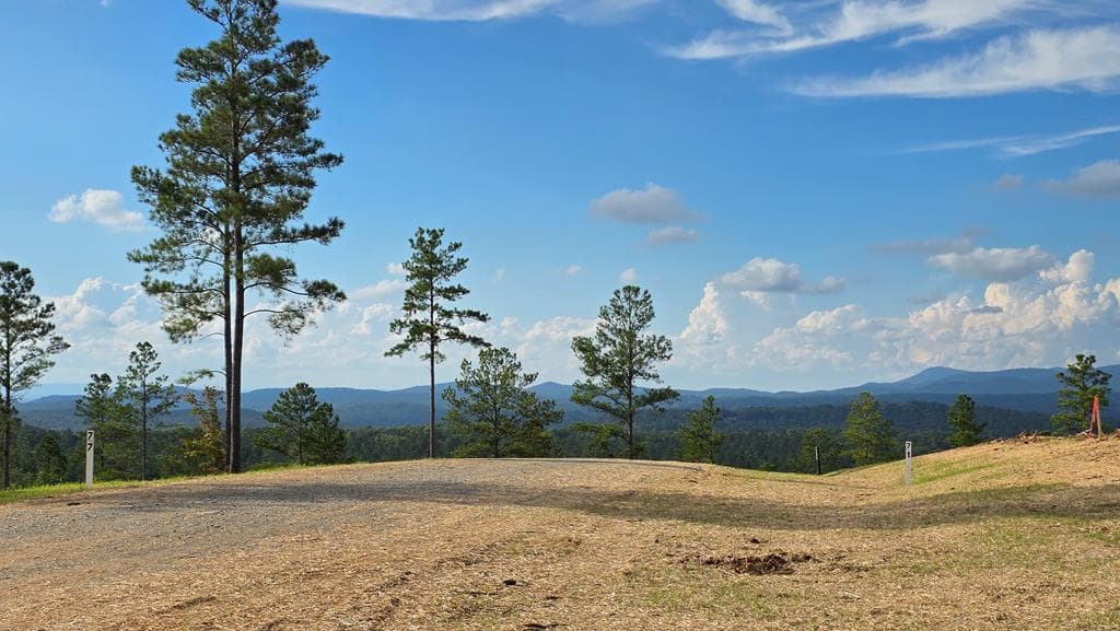 71 Elkton Court, Ellijay GA 30540 - Photo