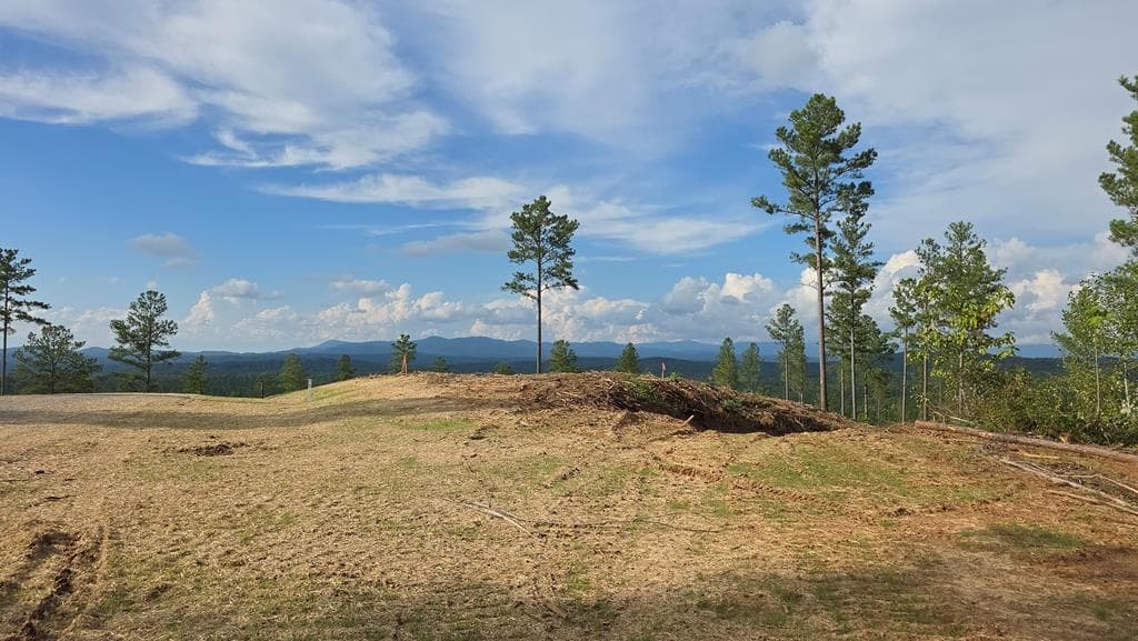 71 Elkton Court, Ellijay GA 30540 - Photo