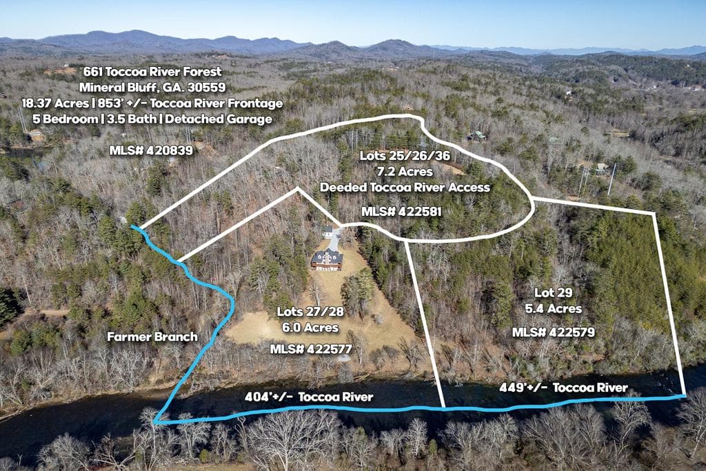 661 Toccoa River Forest, Mineral Bluff GA 30559 - Photo