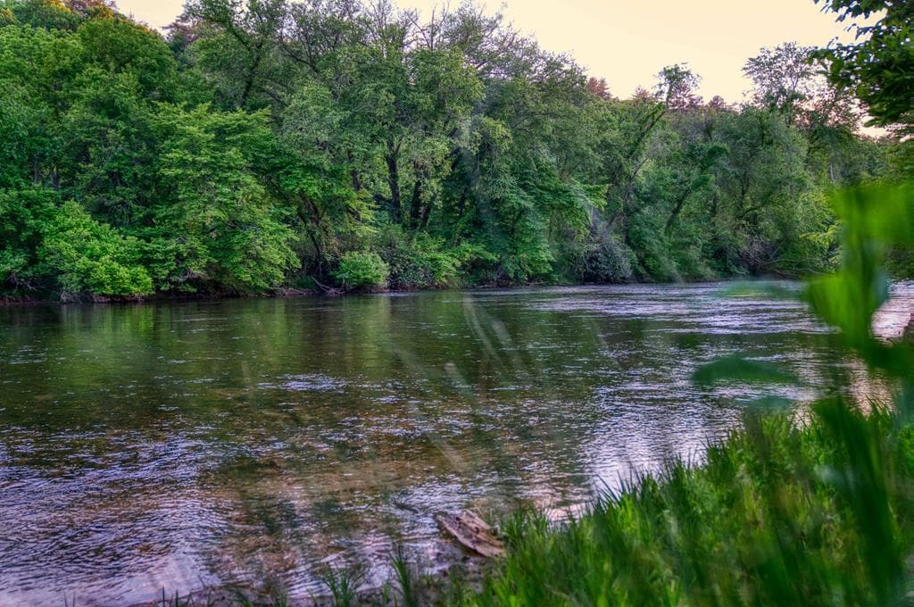 661 Toccoa River Forest, Mineral Bluff GA 30559 - Photo