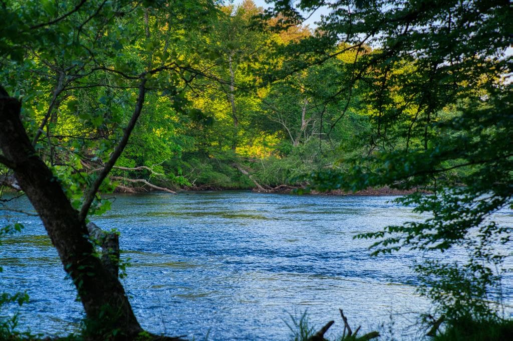 661 Toccoa River Forest, Mineral Bluff GA 30559 - Photo