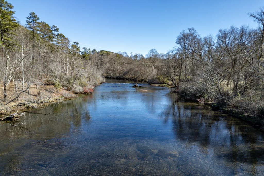 Lot 29 Toccoa River Forest, Mineral Bluff GA 30559 - Photo