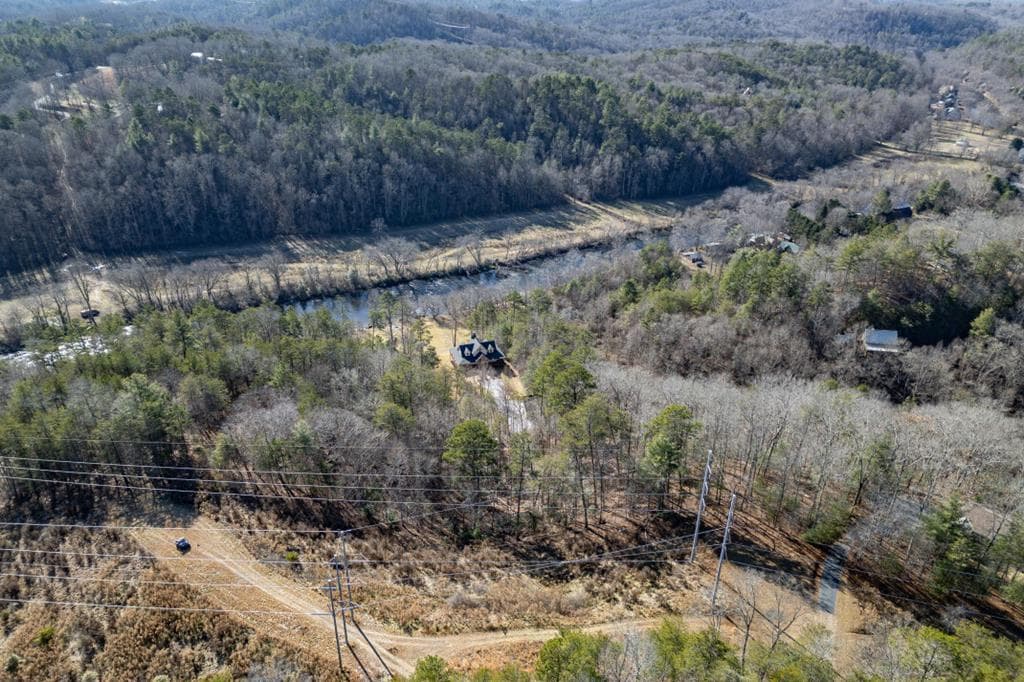 Lot 25+ Toccoa River Forest, Mineral Bluff GA 30559 - Photo