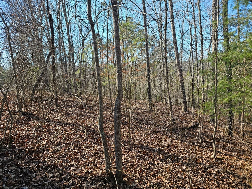 1.16 Marie Drive, Talking Rock GA 30175 - Photo