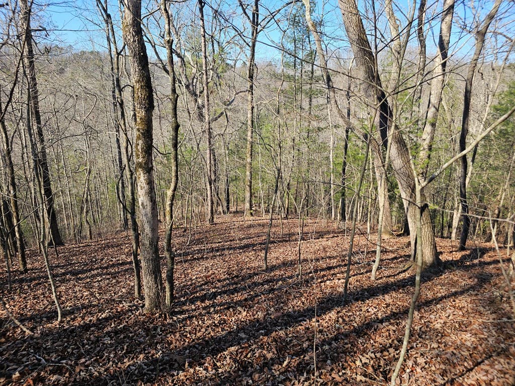 1.16 Marie Drive, Talking Rock GA 30175 - Photo
