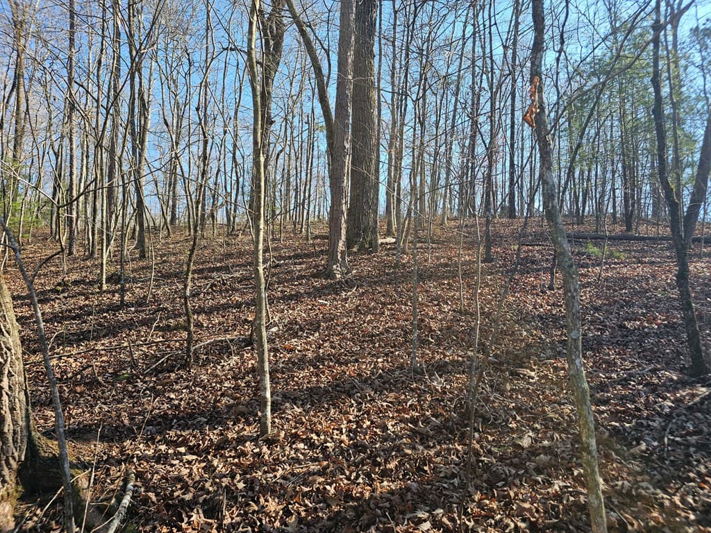 1.16 Marie Drive, Talking Rock GA 30175 - Photo