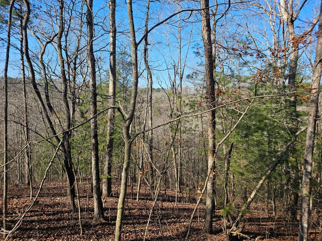 1.16 Marie Drive, Talking Rock GA 30175 - Photo