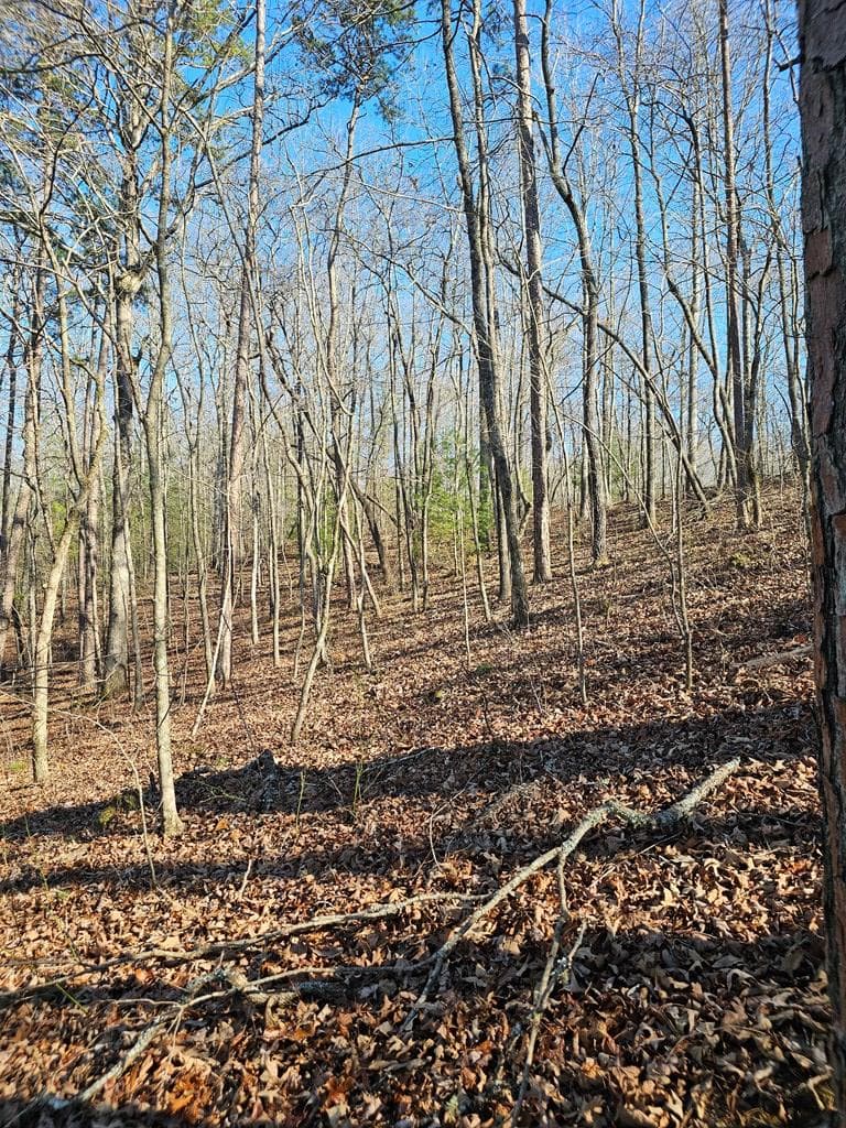 1.16 Marie Drive, Talking Rock GA 30175 - Photo