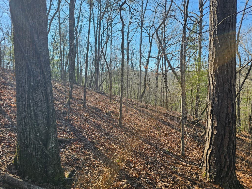 1.16 Marie Drive, Talking Rock GA 30175 - Photo