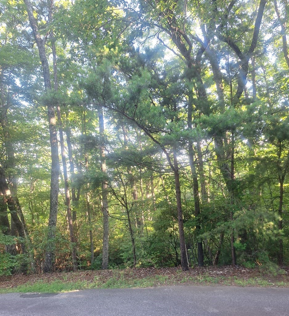 Lot 9 Cook Mountain Estate, Blairsville GA 30512 - Photo