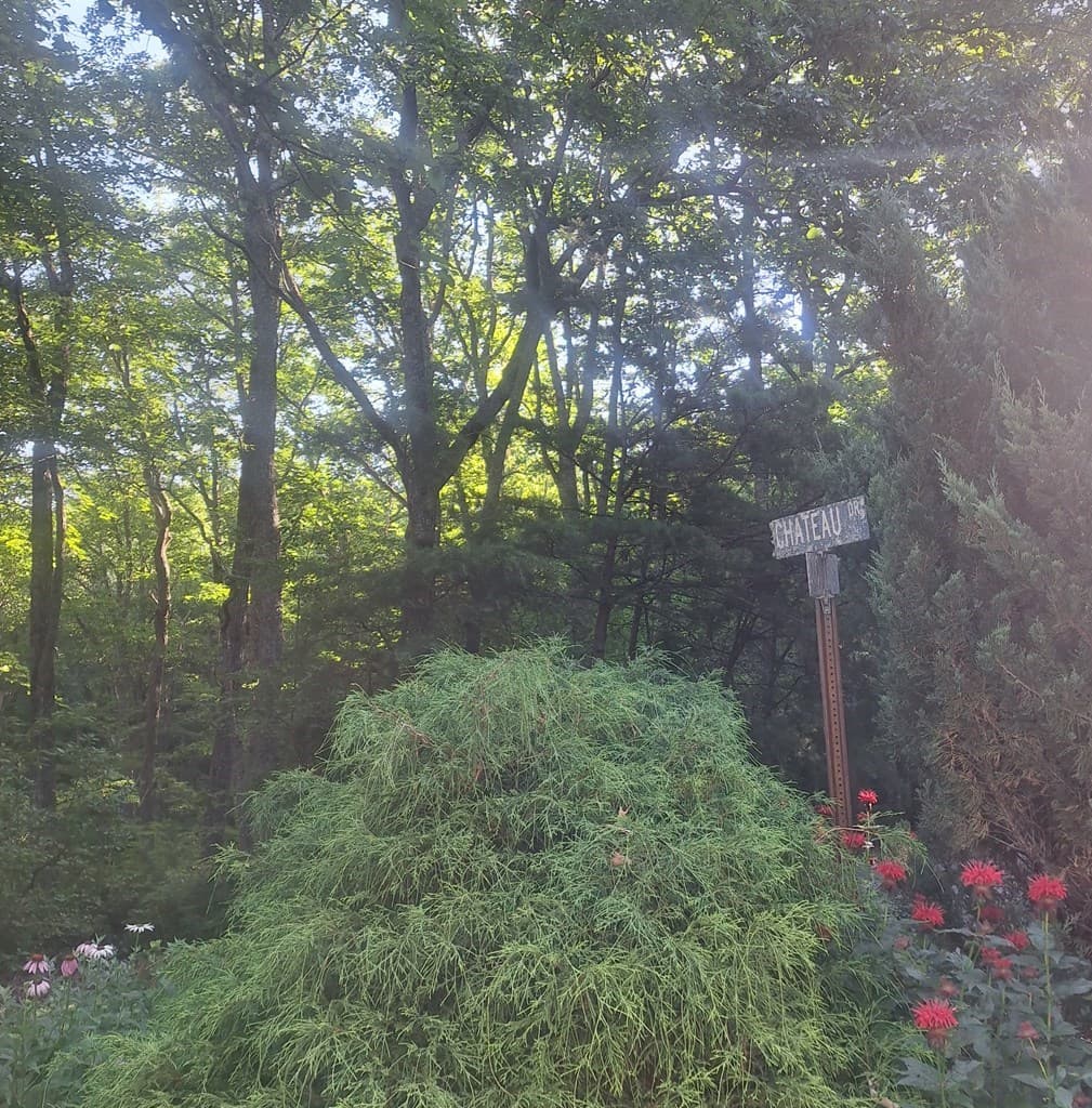 Lot 9 Cook Mountain Estate, Blairsville GA 30512 - Photo
