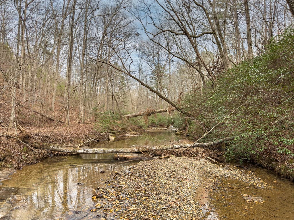 L156&157 Harris Creek Drive, Ellijay GA 30540 - Photo