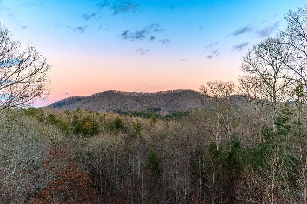 1023 Knollwood Road, Mineral Bluff GA 30559 - Photo