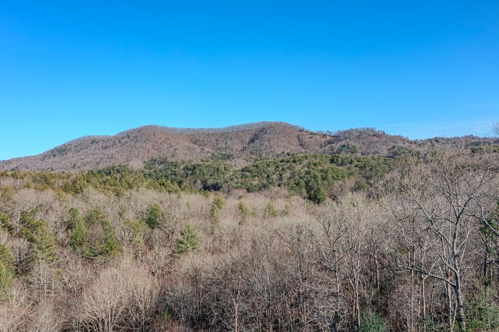 1023 Knollwood Road, Mineral Bluff GA 30559 - Photo