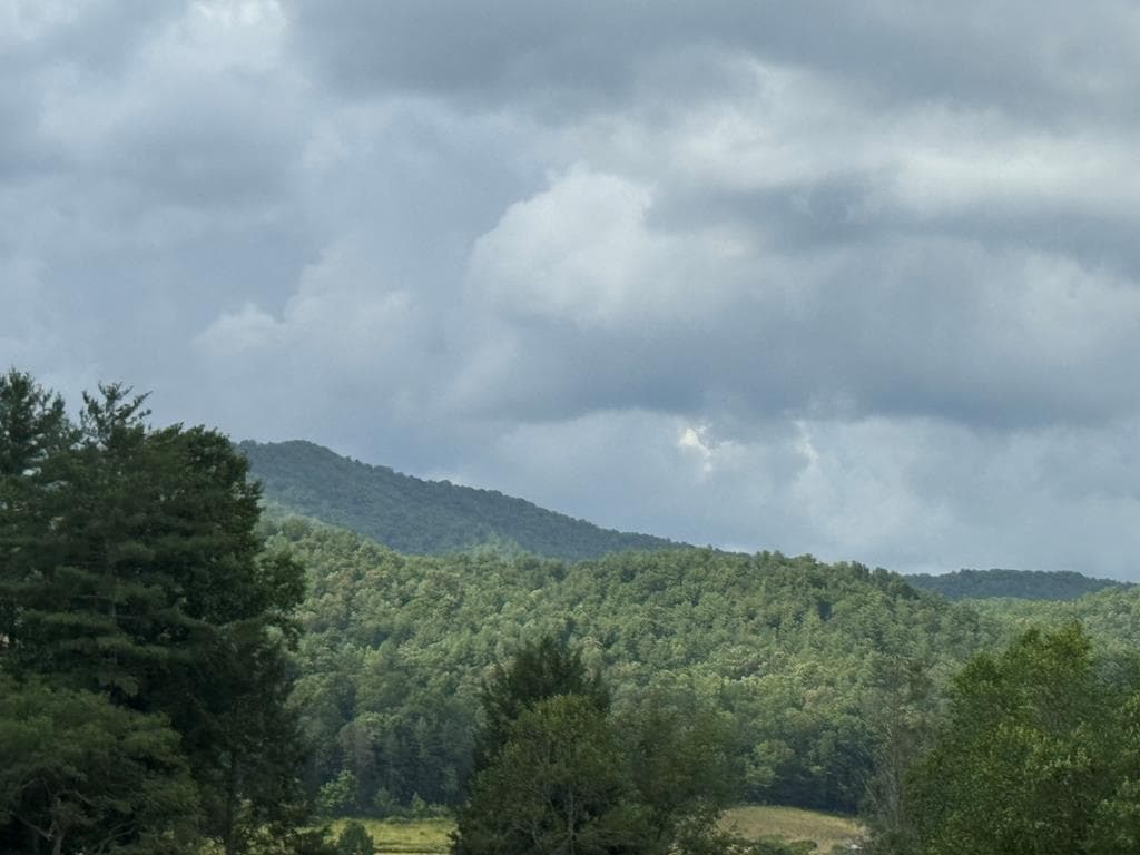 Lot 61 White Pine Trail, Suches GA 30572 - Photo