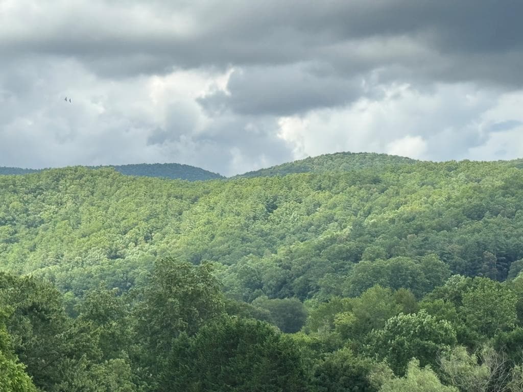 Lot 61 White Pine Trail, Suches GA 30572 - Photo