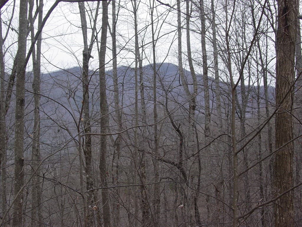 #17 Roaring Ridge, Hiawassee GA 30546 - Photo