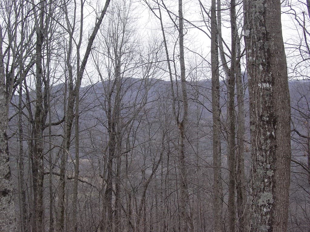 #16 Roaring Ridge, Hiawassee GA 30546 - Photo